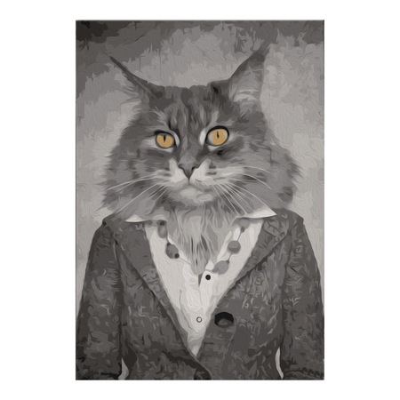 Pictura Pe Numere Pisica Eleganta 40 X 60 Cm Emag Ro