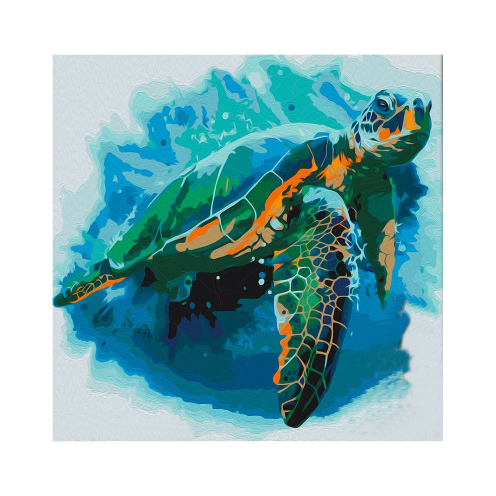 Pictura pe numere - Broasca testoasa - 40 x 40 cm