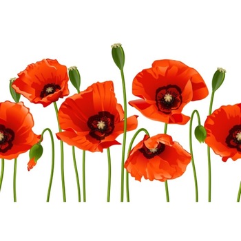 Tablou canvas Flori26, 75 x 50 cm Tablou canvas Flori26, 75 x 50 cm