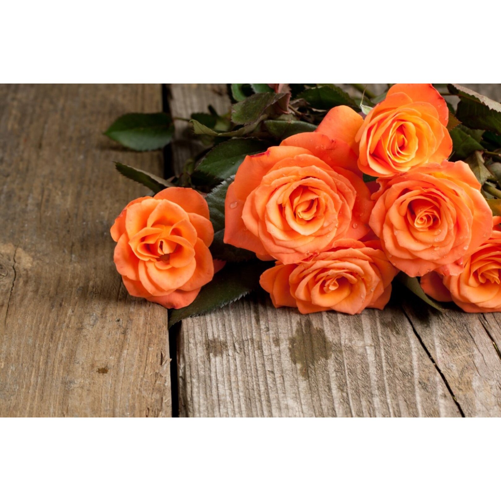 Tablou canvas Flori132, 105 x 70 cm