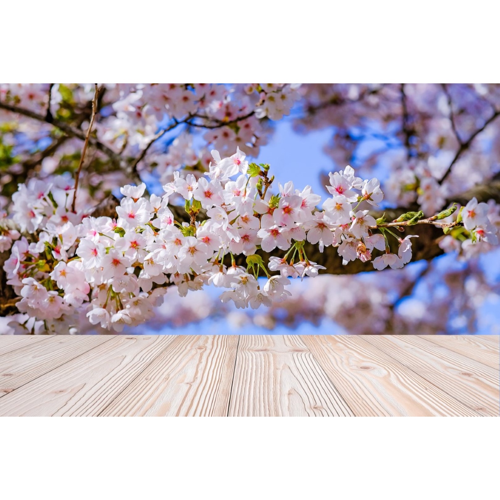 Tablou canvas Flori100, 105 x 70 cm