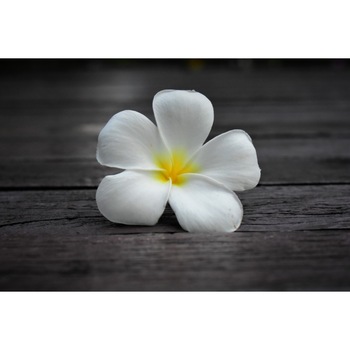 Fototapet de perete autoadeziv si lavabil Flori59, 220 x 135 cm Fototapet de perete autoadeziv si lavabil Flori59, 220 x 135 cm