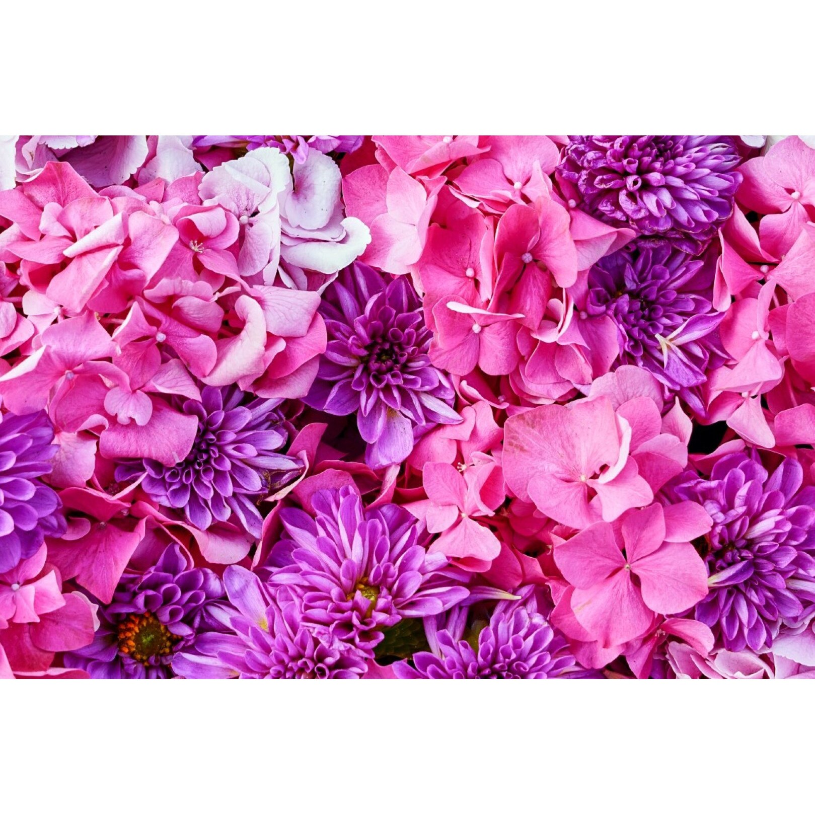 Tablou canvas Flori96, 60 x 40 cm