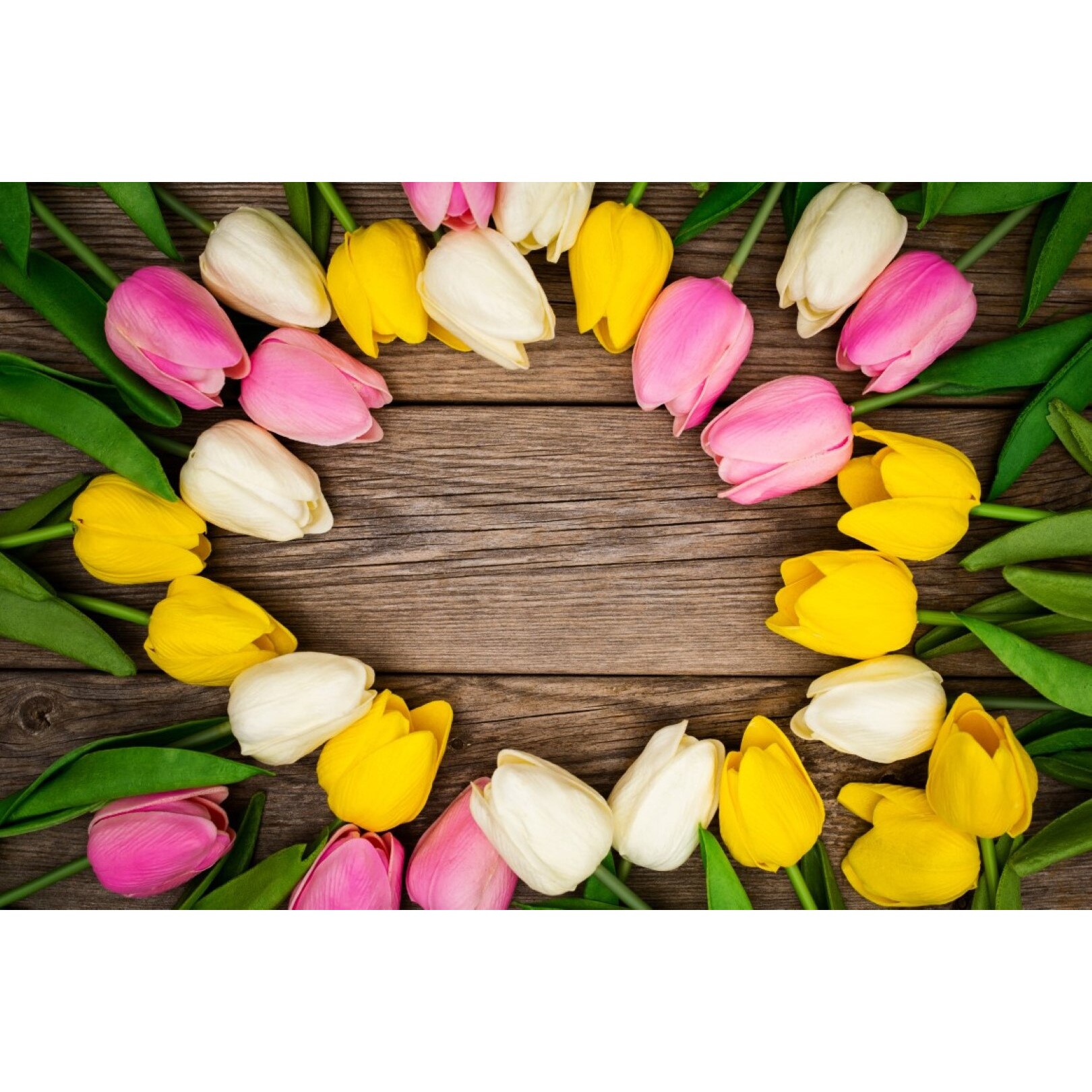 Tablou canvas Flori91, 105 x 70 cm