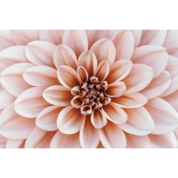 Tablou canvas Flori38, 75 x 50 cm Tablou canvas Flori38, 75 x 50 cm