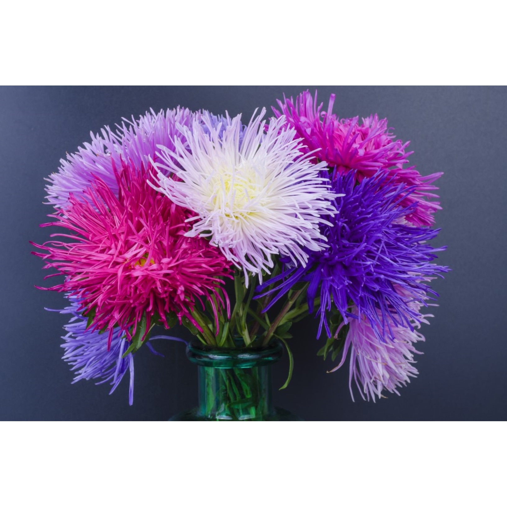 Tablou canvas Flori83, 60 x 40 cm