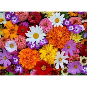 Tablou canvas Flori57, 75 x 50 cm Tablou canvas Flori57, 75 x 50 cm