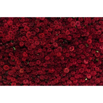 Tablou canvas Flori143, 45 x 30 cm Tablou canvas Flori143, 45 x 30 cm