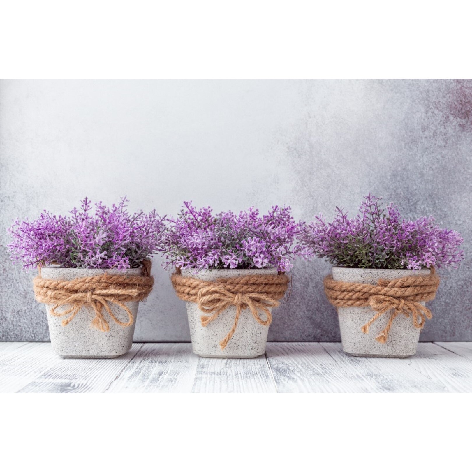 Tablou canvas Flori71, 105 x 70 cm