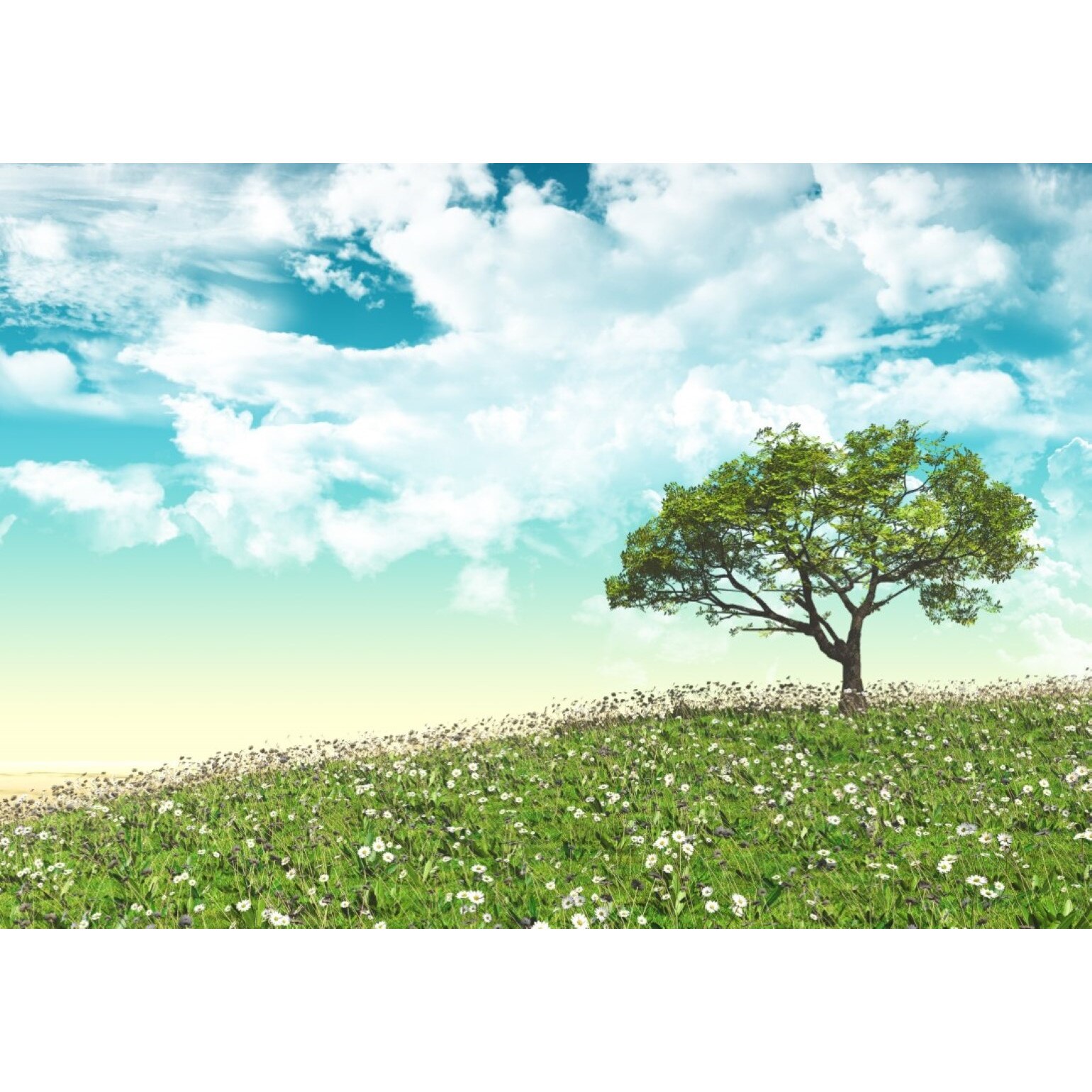 Tablou canvas Flori144, 105 x 70 cm