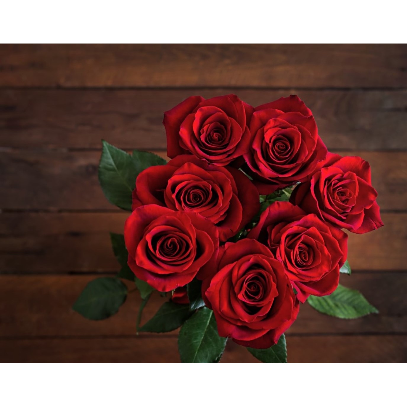 Tablou canvas Flori123, 60 x 40 cm