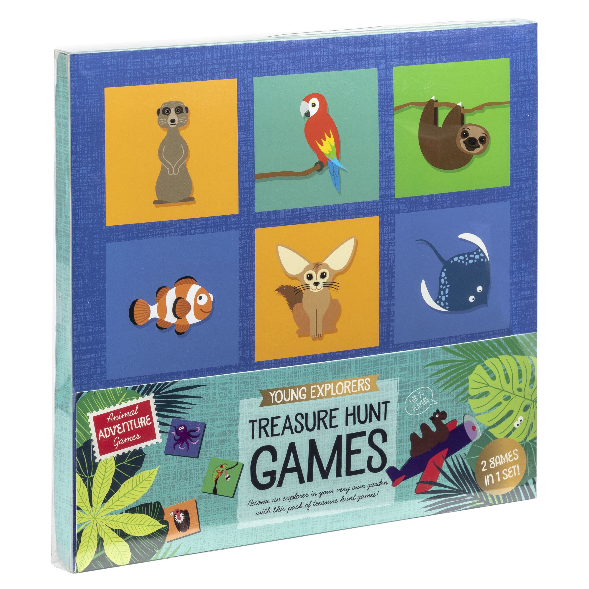 Joc Outdoor Adventure Games Treasure Hunt Games (2 in 1), Professor