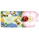 Carte "Little Lift and Look Bugs", cu coperta tare de Anna Milbourne, 10 luni+, Usborne