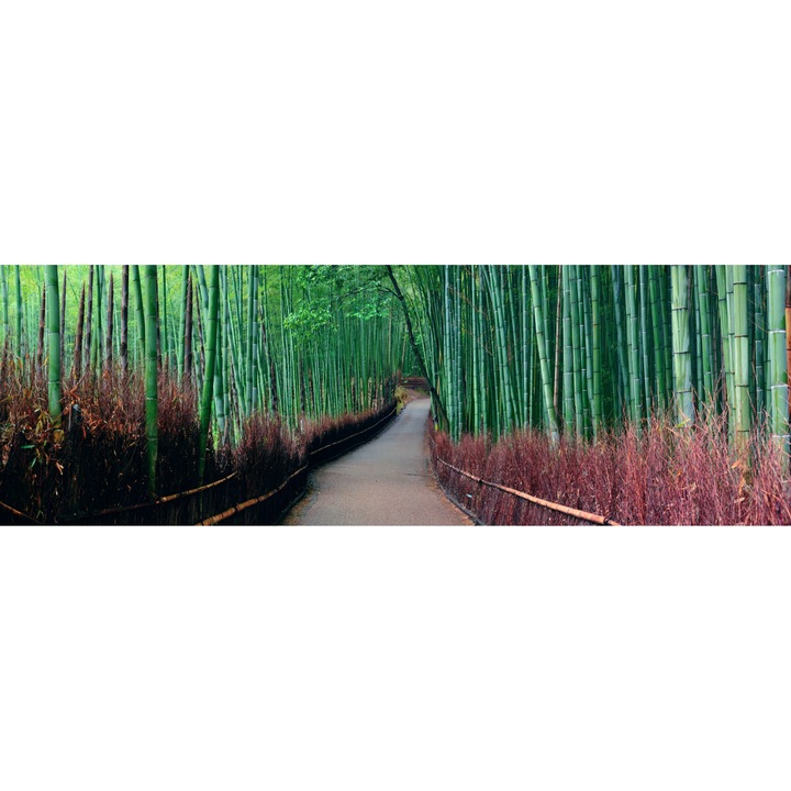 Sticla bucatarie sau baie , GLASFABRIK, Sticla securizata, 6 mm, Multicolor,2000x600 mm dkemg04