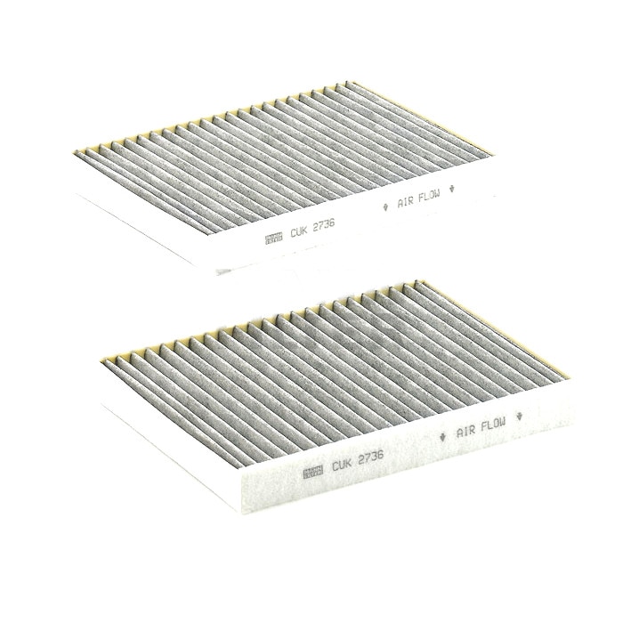 Set 2 filtre aer habitaclu (polen) cu carbon activ BMW seria 5 (E39)