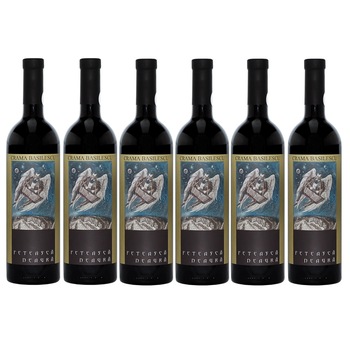 Vin Basilescu Ingeri din micul Paris Feteasca Neagra, Rosu, BAX 6 sticle x 750ml Vin Basilescu Ingeri din micul Paris Feteasca Neagra, Rosu, BAX 6 sticle x 750ml