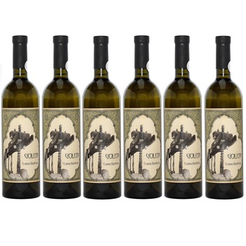 Vin Basilescu Golem Alb, sec, BAX 6 sticle x 750ml Vin Basilescu Golem Alb, sec, BAX 6 sticle x 750ml