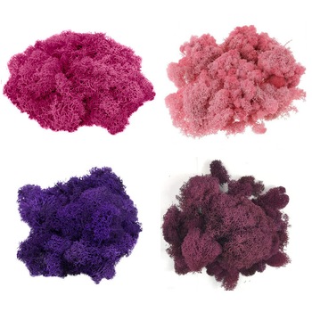 Licheni stabilizati ARTFLORA PINK KISS cutie 800g Licheni stabilizati ARTFLORA PINK KISS cutie 800g