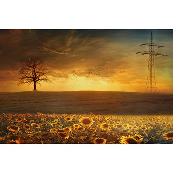 Tablou din canvas dimensiunea 55x85cm Peisaj Floarea Soarelui Tablou din canvas dimensiunea 55x85cm Peisaj Floarea Soarelui