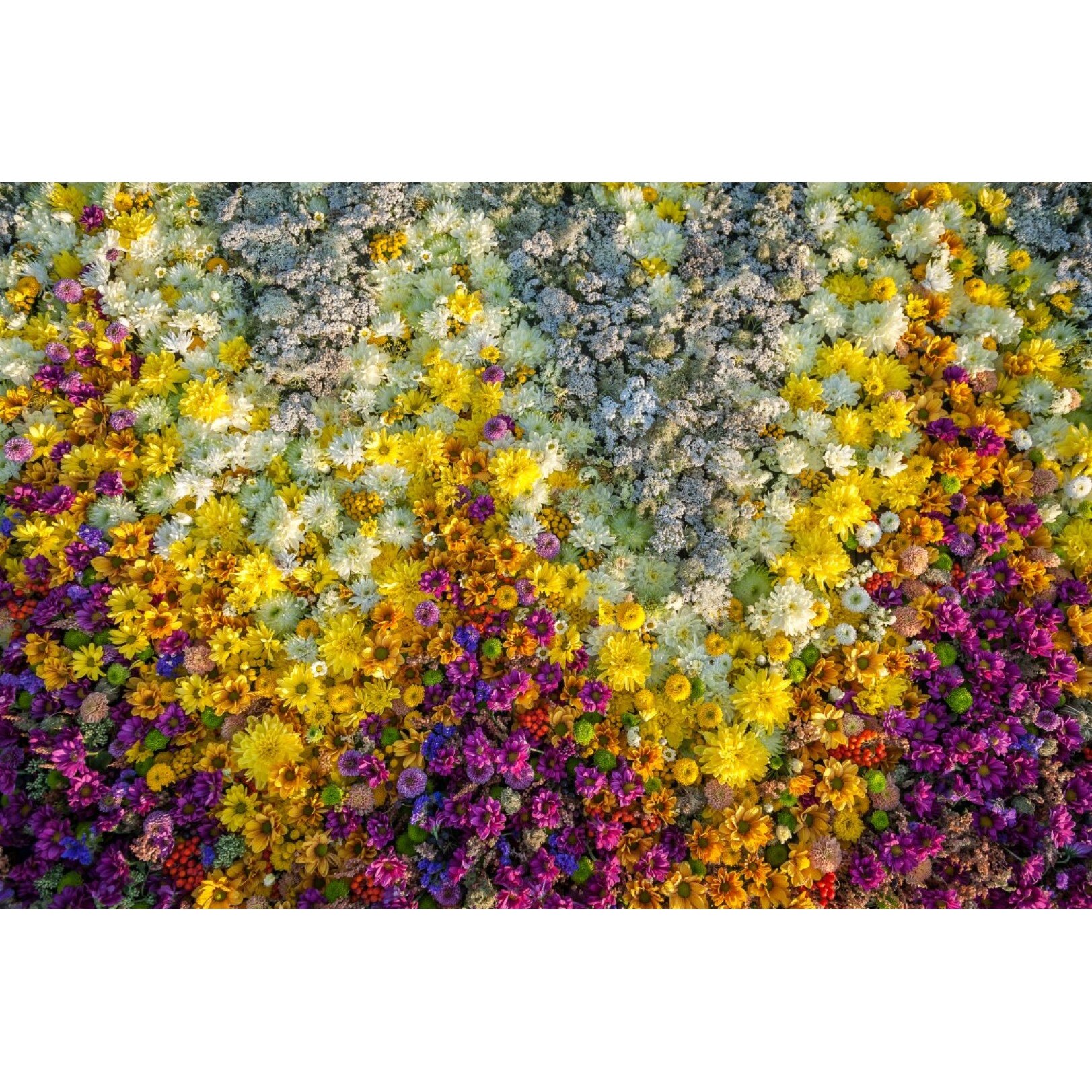 Fototapet de perete autoadeziv si lavabil Flori65, 220 x 135 cm