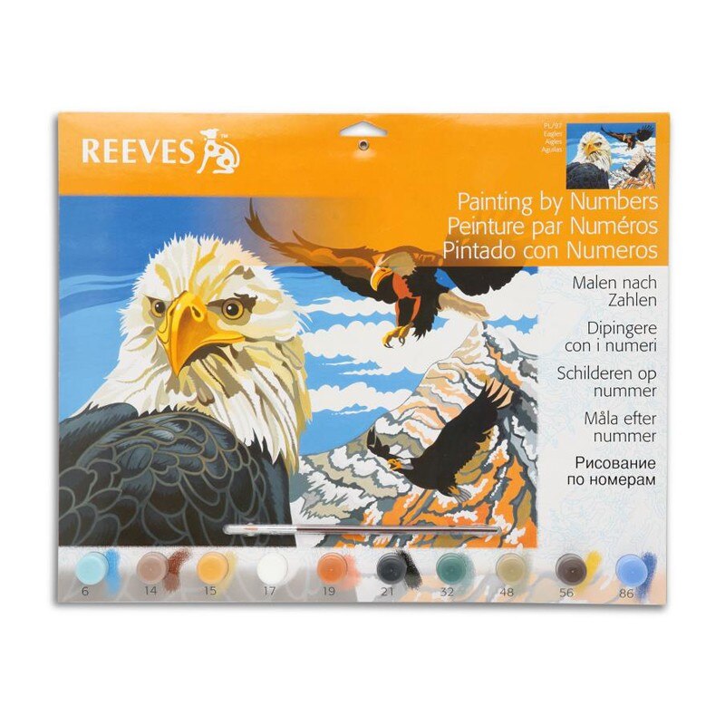 Pictura pe numere Eagles Reeves