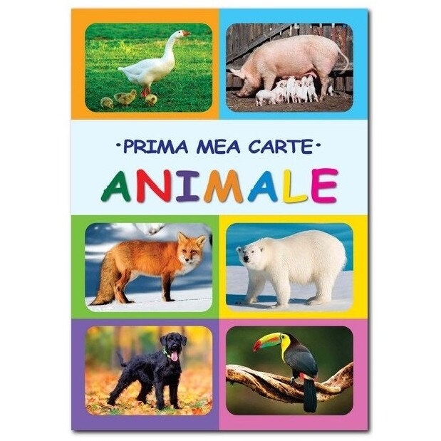 Animale - Irina Gutu