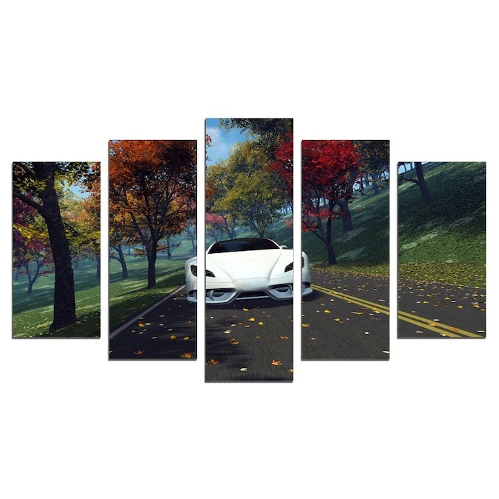 Картина-пано за стена Iwidecor, 5 части, Пейзаж с бял автомобил, Канава (платно от 100% памук) в/у дървени подрамки, Размер S 108х60 см