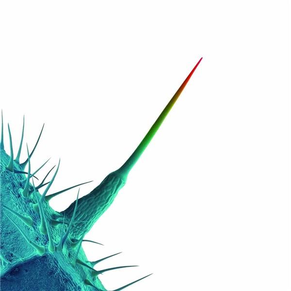 Peter Gabriel - And I'll Scratch Yours - CD
