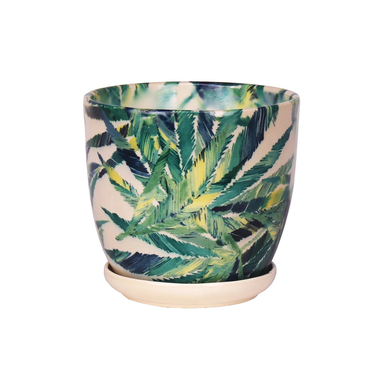 Ghiveci ceramica cu farfurie, Wenus, feriga diametru 15 cm