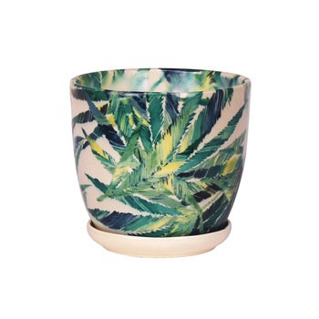 Ghiveci ceramica cu farfurie, Wenus, feriga diametru 15 cm Ghiveci ceramica cu farfurie, Wenus, feriga diametru 15 cm