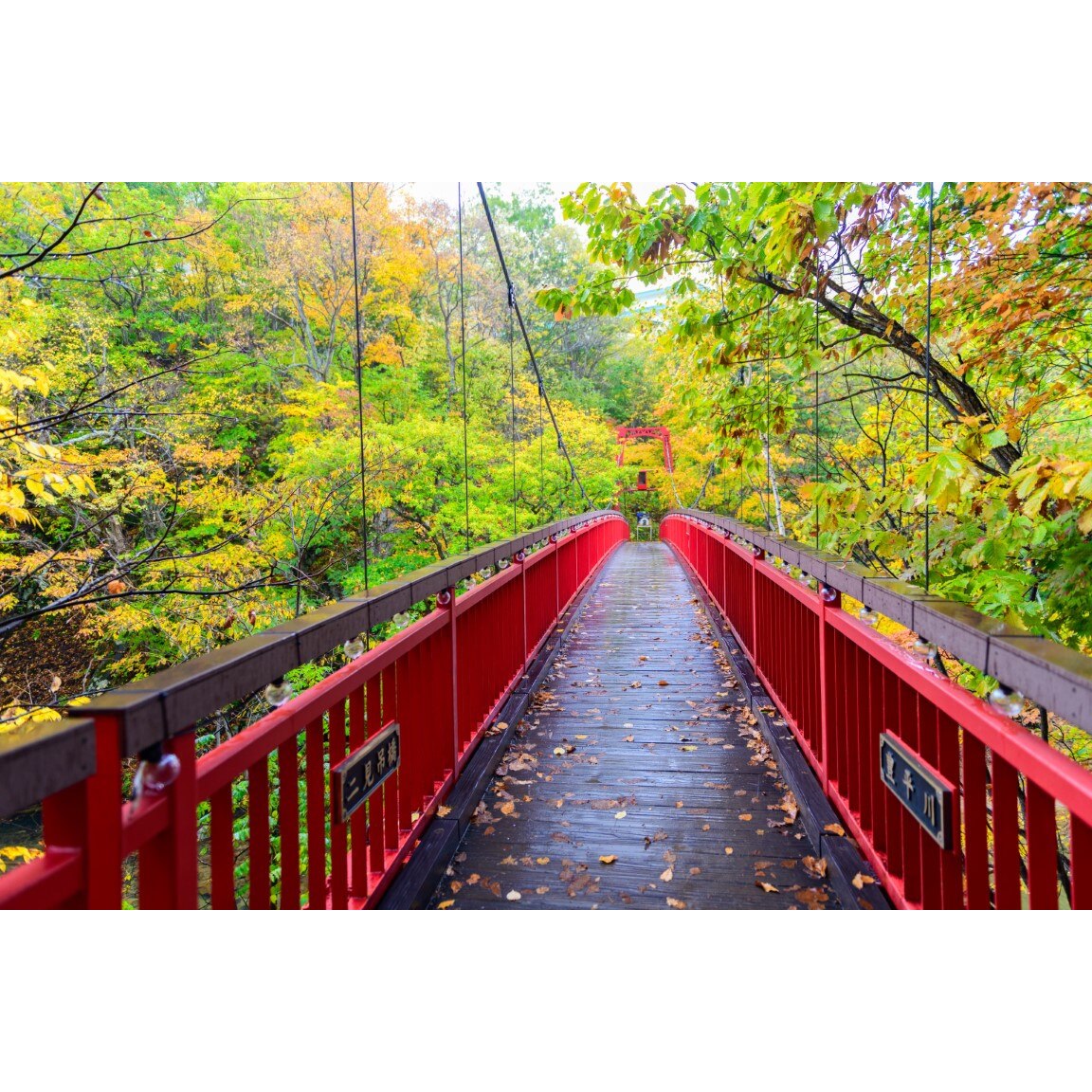 Tablou canvas Padure13, 105 x 70 cm