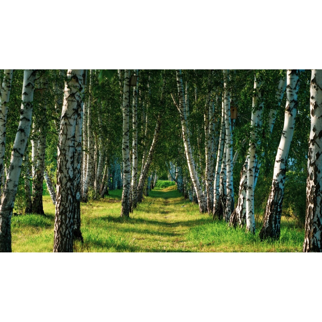 Tablou canvas Padure43, 105 x 70 cm