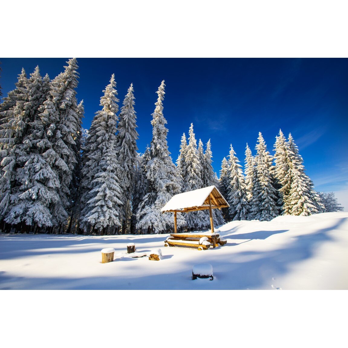 Tablou canvas Padure23, 105 x 70 cm