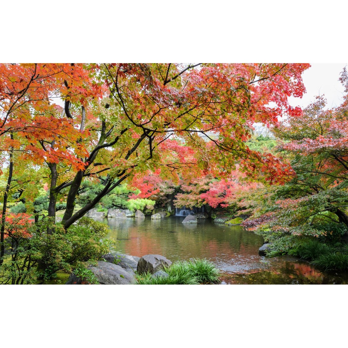 Tablou canvas Padure5, 105 x 70 cm