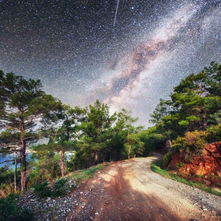 Tablou canvas Padure25, 90 x 90 cm