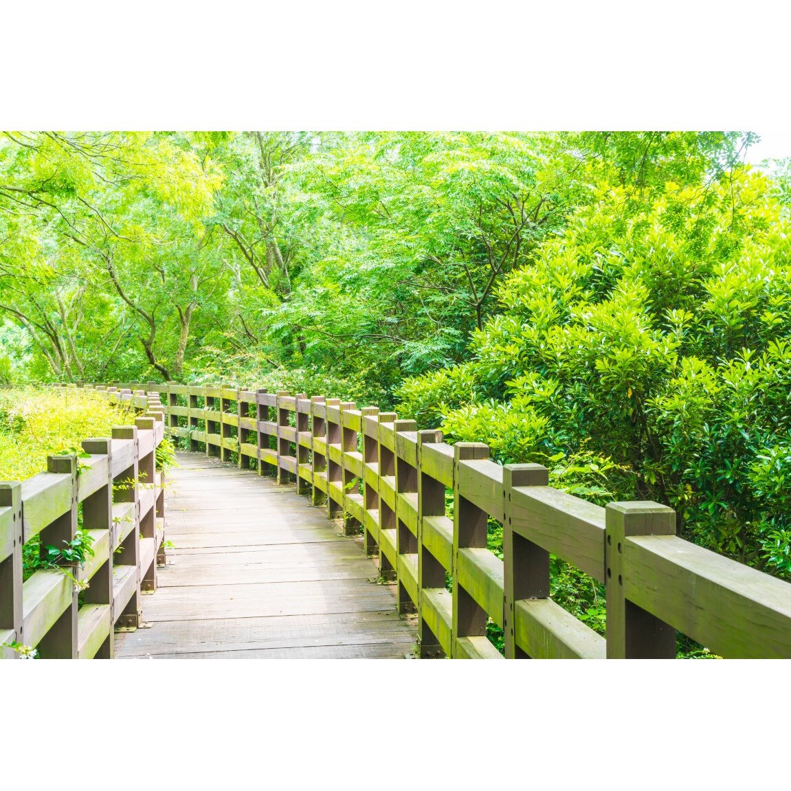 Tablou canvas Padure35, 60 x 40 cm