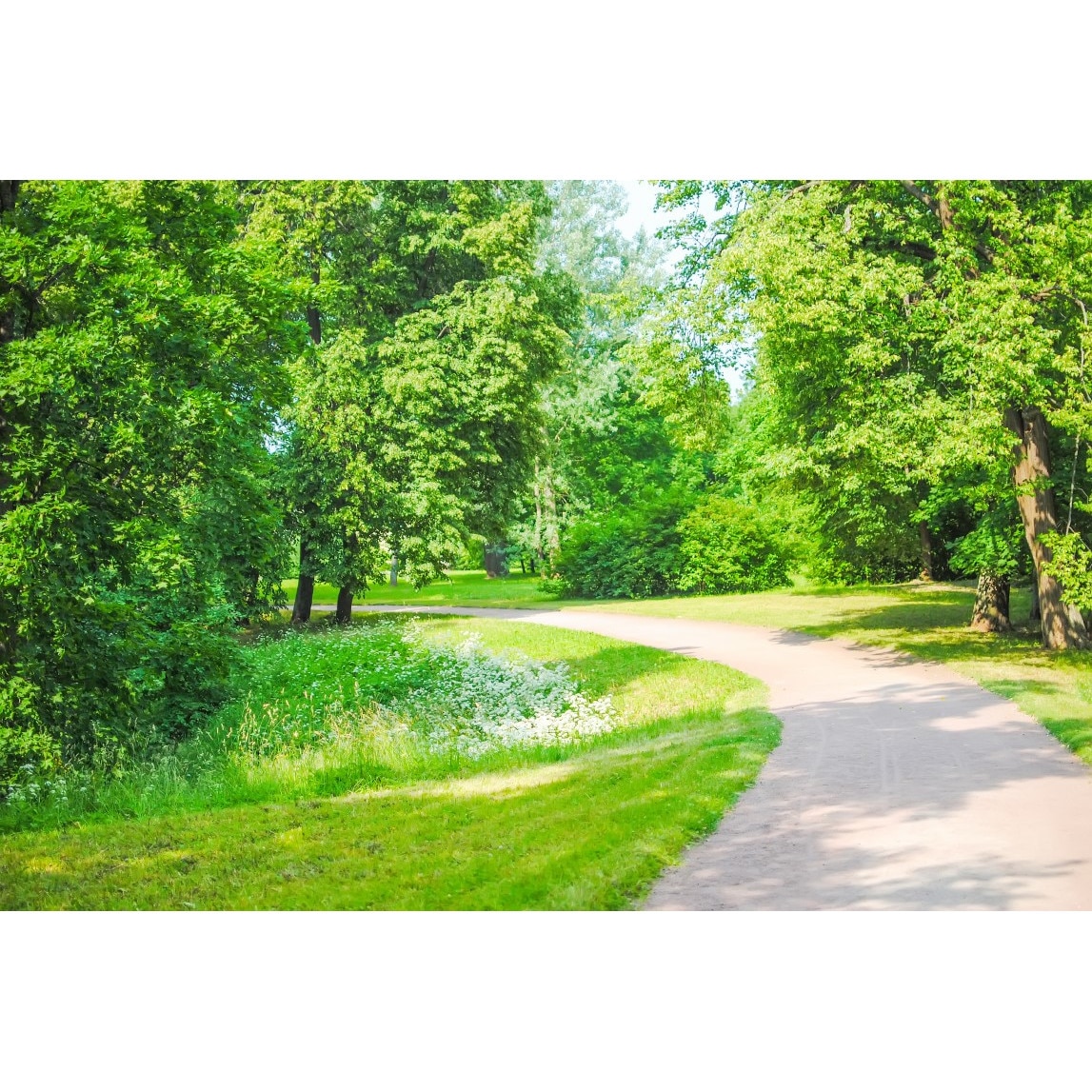 Tablou canvas Padure2, 60 x 40 cm