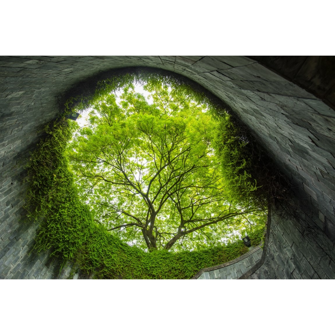 Tablou canvas Padure17, 75 x 50 cm