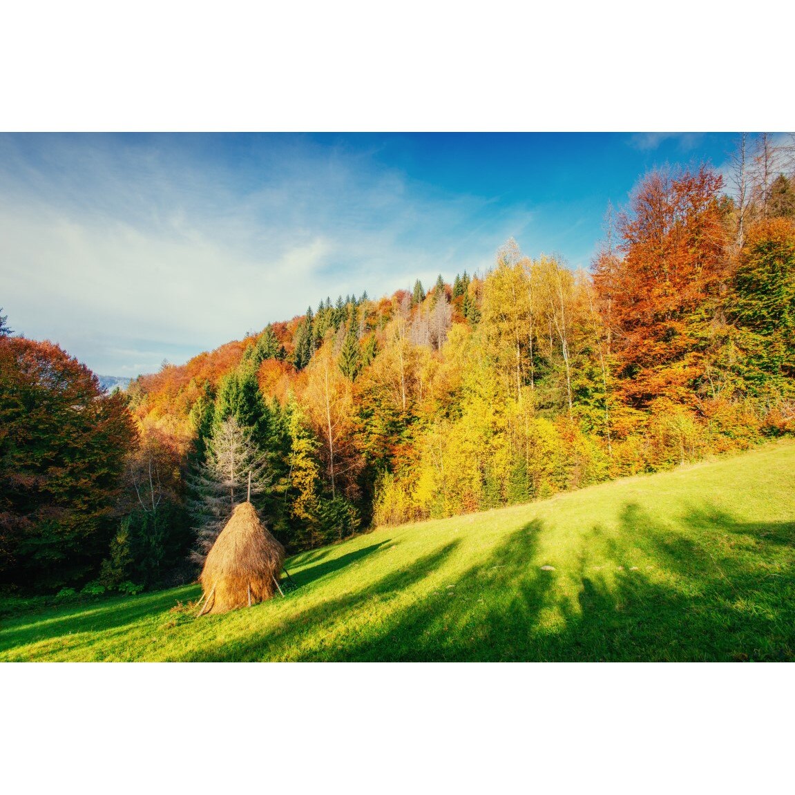 Tablou canvas Padure21, 105 x 70 cm