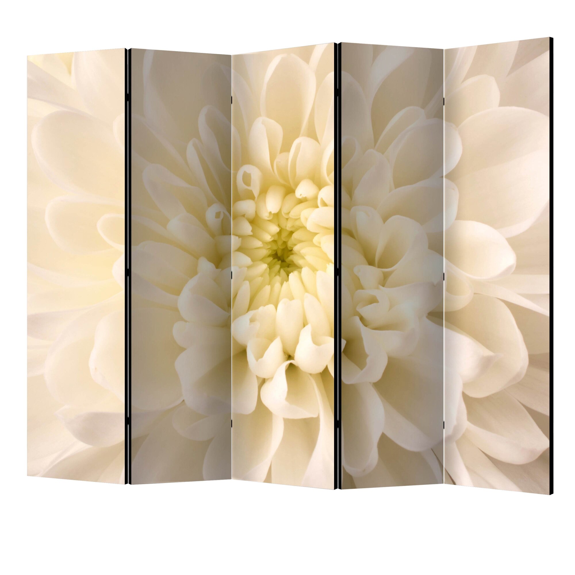 Paravan din 5 parti - Dalie alba II - 225 x 172 cm