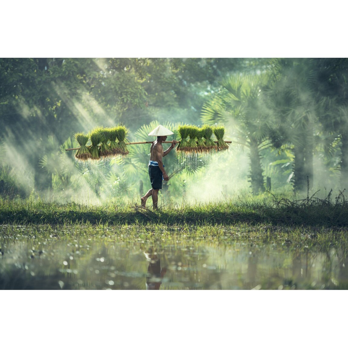 Tablou canvas People17, 60 x 40 cm