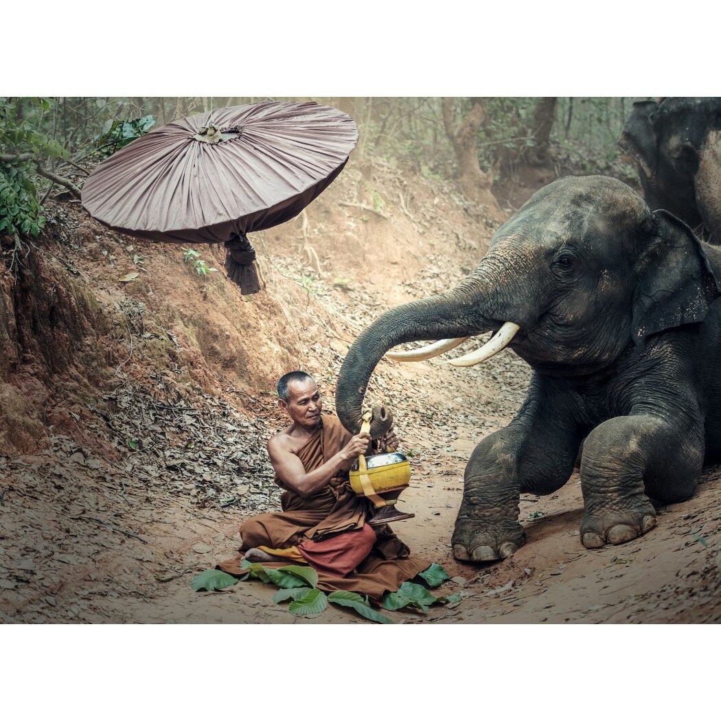 Tablou canvas People16, 60 x 40 cm