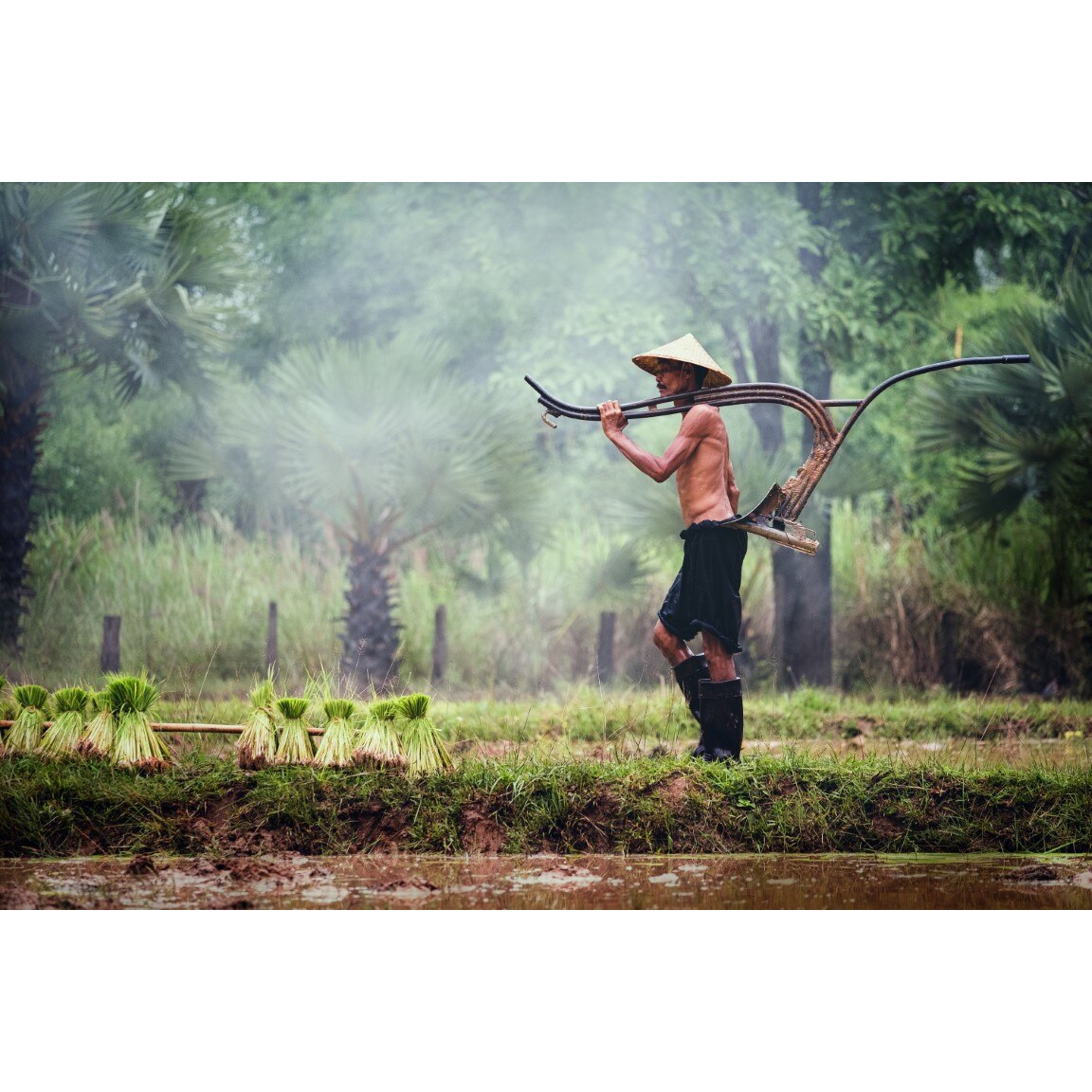 Tablou canvas People19, 45 x 30 cm