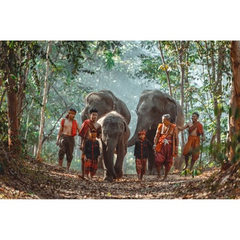 Tablou canvas People20, 45 x 30 cm Tablou canvas People20, 45 x 30 cm