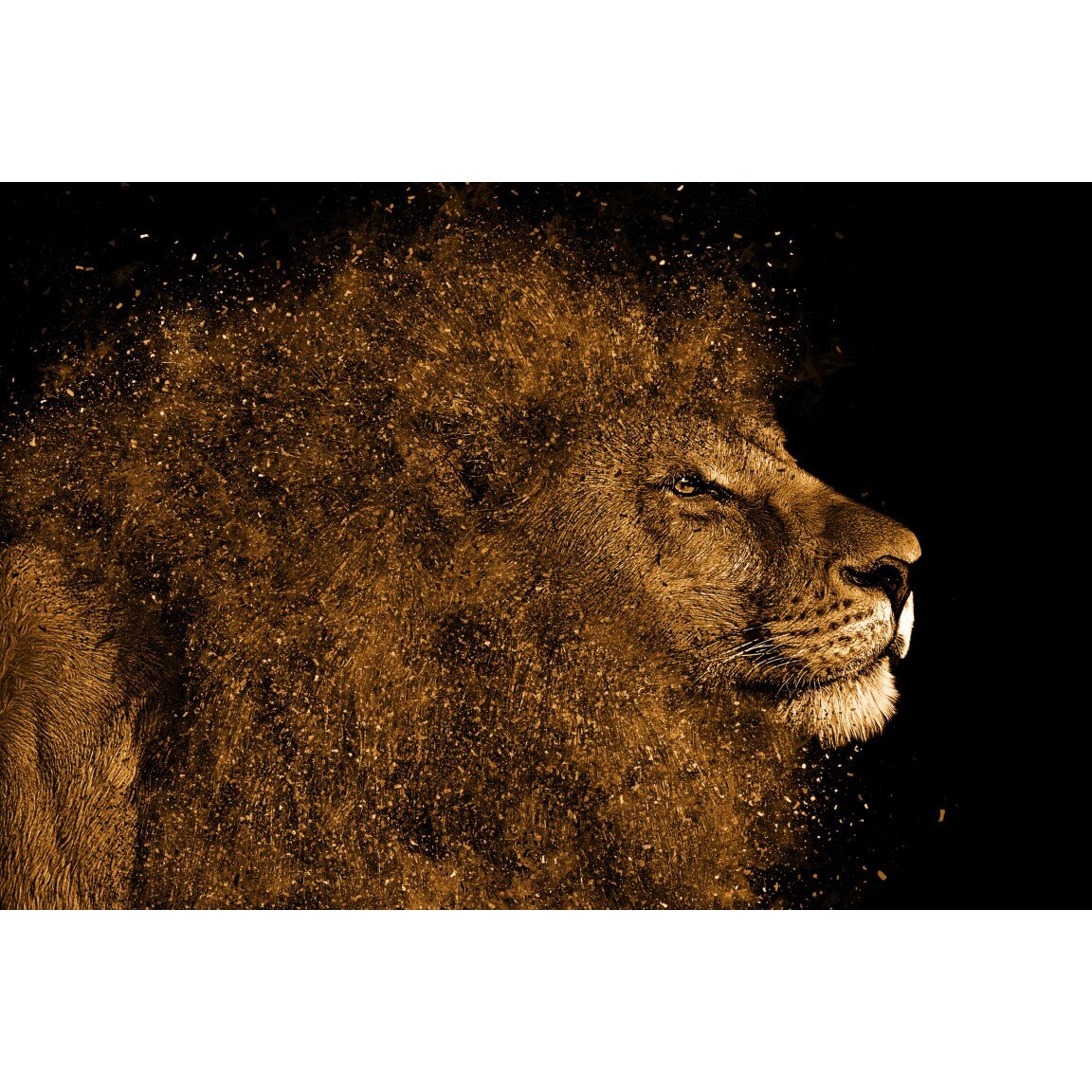 Tablou canvas Animal28, 60 x 40 cm