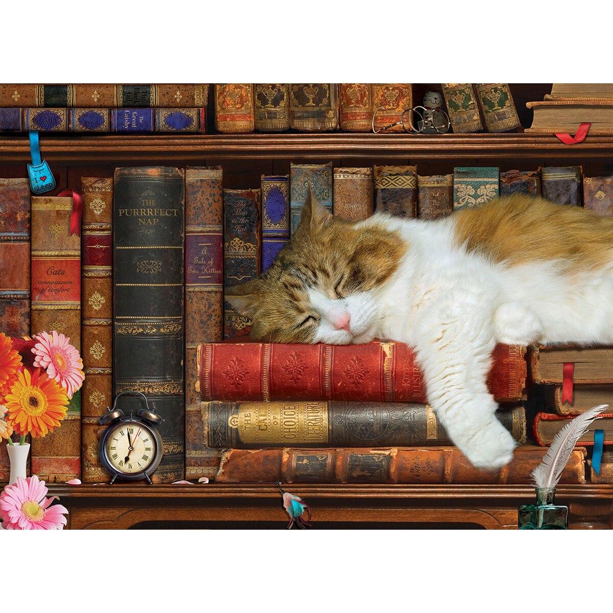 Puzzle Eurographics - The Cat Nap, 500 piese XXL (6500-5545)