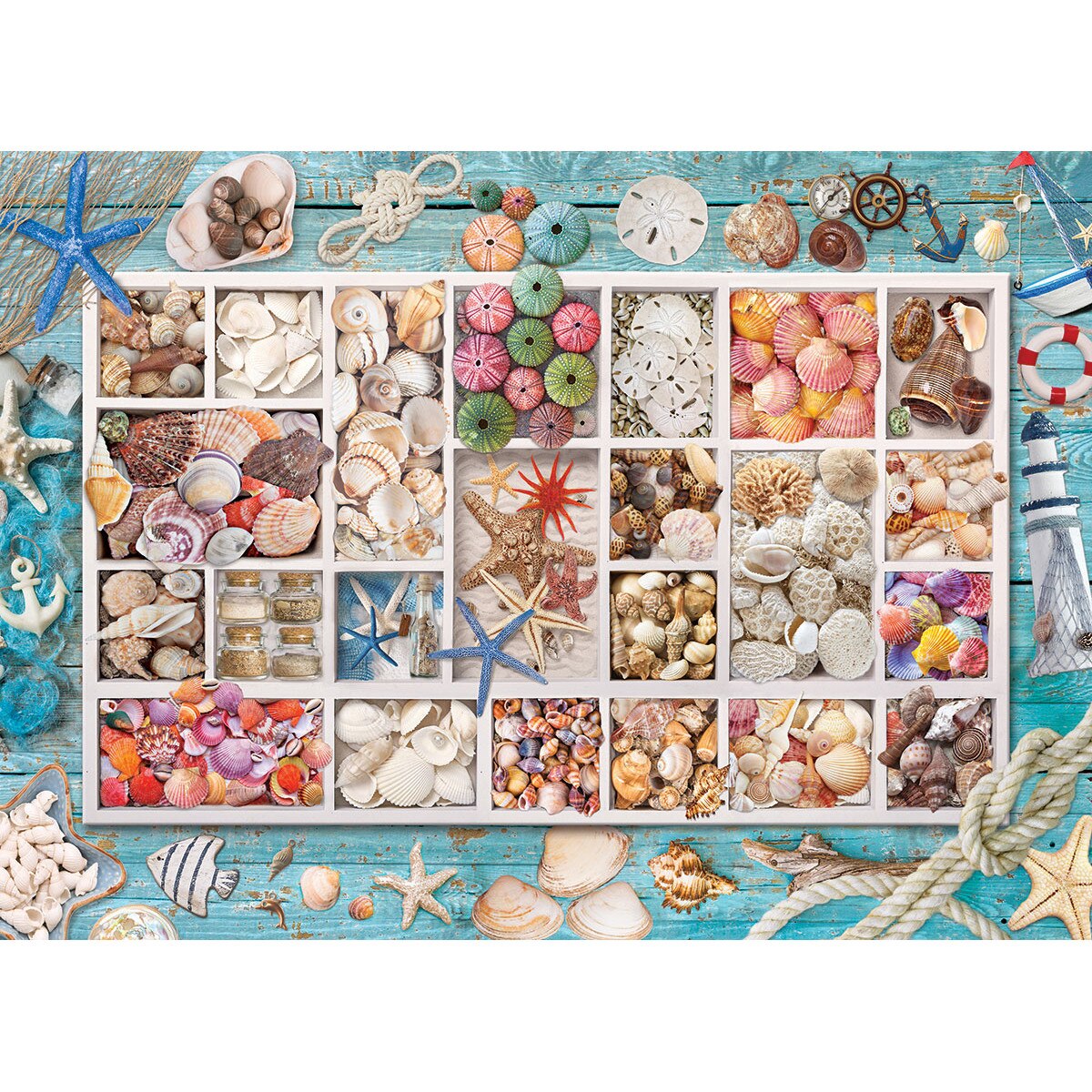 Puzzle Eurographics - Laura's Seashell Collection, 1.000 piese (6000-5529)