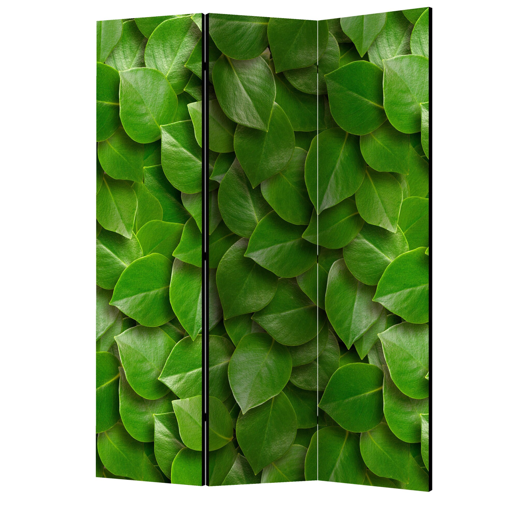Paravan din 3 parti - Gradina secreta - 135 x 172 cm