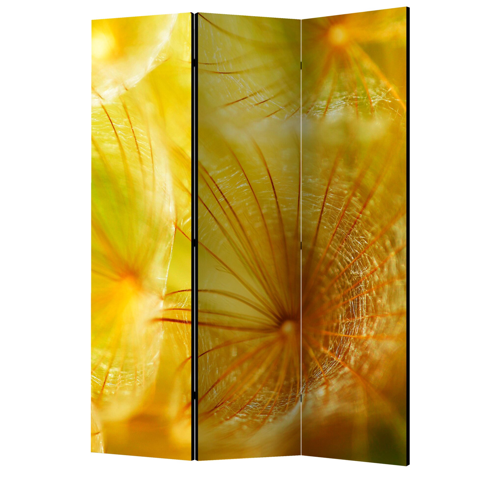 Paravan din 3 parti - Floare moale de papadie - 135 x 172 cm