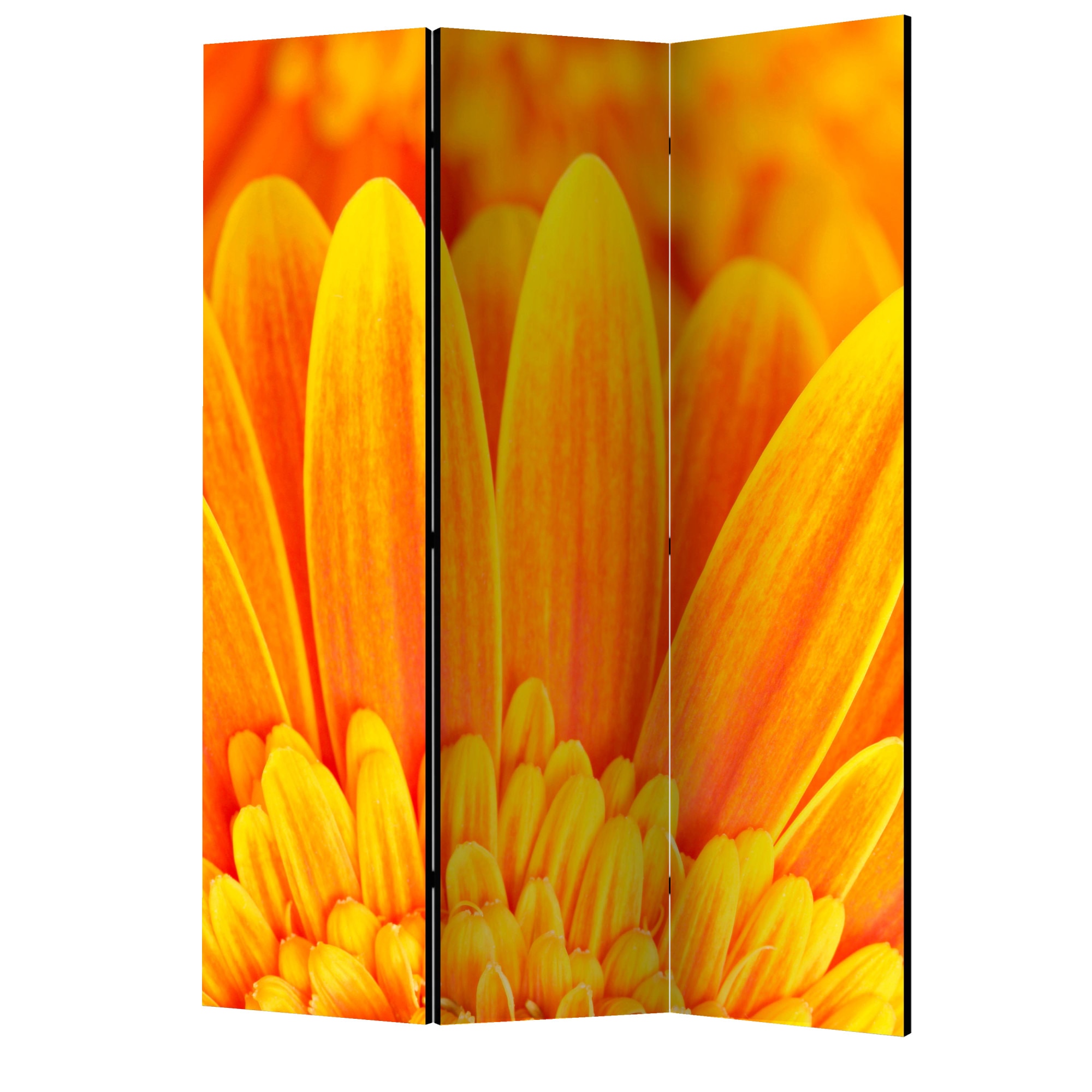Paravan din 3 parti - Margarete gerbera galbene - 135 x 172 cm